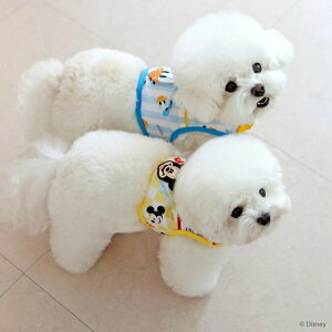 ※予約販売【ITS DOG】Disney Cool harness 犬用品 ドッググッズ ハーネス ドッグハーネス 犬ハーネス 犬用ハーネス ディズニー disney ミッキー mickey