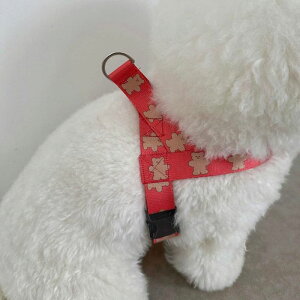 [yOUNCEzjelly bear harnessi3colorj ؍ pi hbOObY n[lX hbOn[lX n[lX pn[lX [h p[h U[h