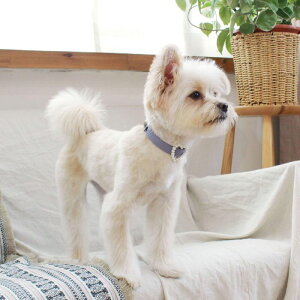 \̔ymaison de miuz Heart Pearl Collar(Violet) ؍ uh 킢  v[g ^  ^I UObY NEW