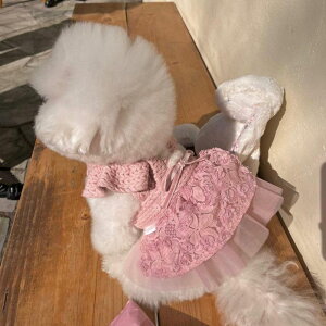 ���\��̔��yHi Yeboo�zAmi Ballet Tutu�iPink�j ���p�i �h�b�O�O�b�Y �h�b�O�E�F�A ���� ���̕� ���^�� ���^���� �t �t�� �؍�