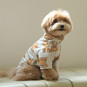 \̔yandblankzBebe Joy Bear AeroHeat T-Shirts  hbOEFA ̕ h ~ ~ pi hbOObY ؍ ^