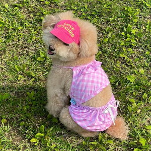 [yFREDDIE TALEzSweet bubble bikiniiPinkj pi hbOObY  ̕ hbOEFA X[uX p ̐  ؍