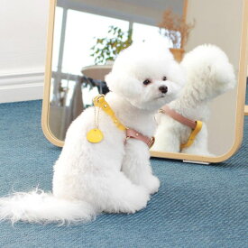 ※予約販売【maison de miu】 Running Mate Harness（Rose Pink / Yellow） 韓国 ブランド かわいい おしゃれ プレゼント 小型犬 ハーネス うちの子グッズ うちの子 タオル 散歩グッズ NEW 犬