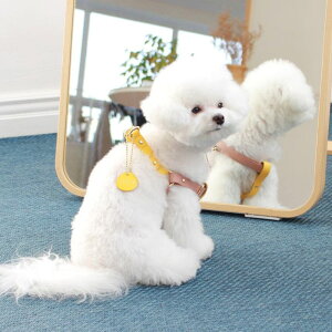 \̔ymaison de miuz Running Mate HarnessiRose Pink / Yellowj ؍ uh 킢  v[g ^ n[lX ̎qObY ̎q ^I UObY NEW 