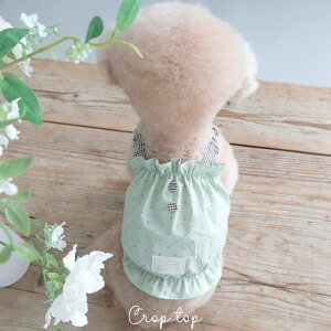 ���[�ynear by us�zCookie Crop Top�iGreentea Choco�j ���� �h�b�O�E�F�A ���̕� ���^�� ���^���� ���p�i �h�b�O�O�b�Y �X���[�u���X �؍� �t