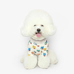 [yTUSTUSzCOLOR BEAR TEE  hbOEFA ̕ ^ ^ pi hbOObY TVc X[uX ؍