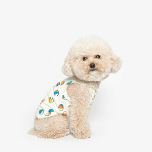 \̔yTUSTUSzBEACH-BALL TOP  hbOEFA ̕ X[uX ؍ pi hbOObY ^ ^  ĕ