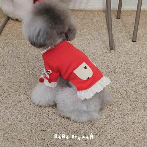 [yBeBe Breathzbe & T-shirtiRedj  hbOEFA ̕ ^ ^ TVc X[uX pi hbOObY ؍