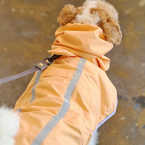 [ymunikundzApple Mango Rain Coat ؍ uh 킢  v[g ^  n[lX [h ̎q CR[g UObY NEW ^ t 
