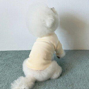 \̔yCRRzLazy Half Polar TeeiLemon Creamj ؍ pi hbOObY TVc X[uX hbOEFA  ̕ ^ ^