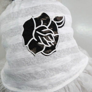 \̔yBeBe BreathzSee-through Rose Lace crop TeeiWHITEj ؍ uh 킢  v[g ^ NEW t  H