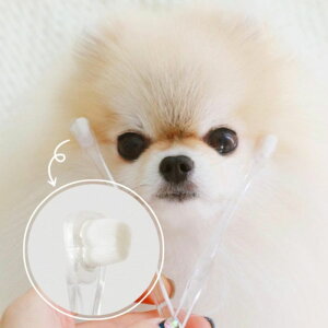 [ybezibebiz xr[NAuV ؍ uh 킢  v[g ^  NEW H ~  J