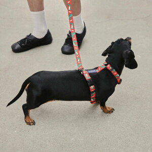 [yandblankzLAZY CROCODILE HARNESS ؍ pi hbOObY n[lX hbOn[lX n[lX pn[lX  ̎ p