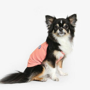 \̔yTUSTUSzCOOL STRAP TEEicherry pinkj  hbOEFA ̕ X[uX pi hbOObY ؍ ^ ^ 