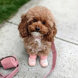 即納【RIFRUF】SNEAKERS CAESAR 1（Blush） URBAN DOG TOKYO / アーバンドッグトーキョー 犬靴 ブランド 犬の靴 散歩 おしゃれ 小型犬 中型犬 大型犬 アウトドア 犬 靴 脱げない 愛犬 犬用靴 夏 冬 ピンクドッグシューズ スニーカー 犬用 肉球ケア 人気