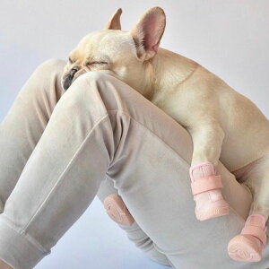 [yRIFRUFzSNEAKERS CAESAR 1iBlushj URBAN DOG TOKYO / A[ohbOg[L[ C uh ̌C U  ^ ^ ^ AEghA  C EȂ  pC  ~ sNh