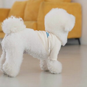 [yDAzbtNbvgbviAC{[j ؍ uh 킢  v[g ^ NEW t  H