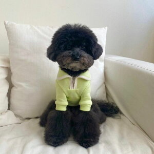 \̔yBonjour TOU-TOUzmellow half zipigreenj ؍ uh 킢  v[g ^ NEW t H