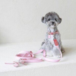 \̔ymaison de miuzPet Color 4Way Lead (Pink / Coral) ؍ uh 킢  v[g ^ [h ^I NEW t  ֗