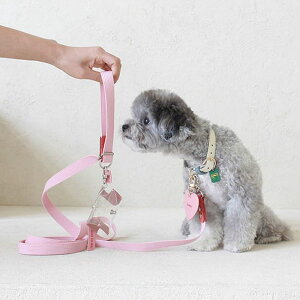 \̔ymaison de miuzPet Color 4Way Lead (Pink / Coral) ؍ uh 킢  v[g ^ [h ^I NEW t  ֗