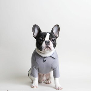 [yZOOBICOzNVbN|"VPbg"gbvXiu[O[j ؍ uh 킢  v[g ^  s[X NEW t  H