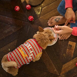 [yandblankzAndblank x Camel ABC Stripe Sleeveless  hbOEFA ̕ X[uX pi hbOObY ؍ ^ ^ ^