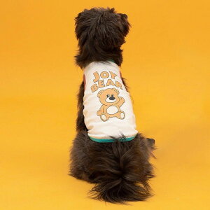 \̔yandblankzIconic Color Block SleevelessiJoy Bearj  hbOEFA ̕ ؍ pi hbOObY ^ ^ ^ ^