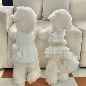 \̔yHi YeboozMonica Tutu  hbOEFA ̕ ^ ^ s[X hX t  H