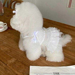 \̔yHi YeboozMonica Tutu  hbOEFA ̕ ^ ^ s[X hX t  H