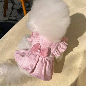 ���\��̔��yHi Yeboo�zCici Denim�iPink�j ���� �h�b�O�E�F�A ���̕� ���^�� ���^���� ���p�i �h�b�O�O�b�Y �t �� �H