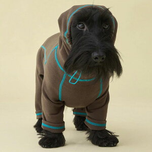 \̔yiCANDORzPOLAR TWEED SNOOD SUITiBROWNj  hbOEFA ̕ h ~ ~ pi hbOObY ؍ ^