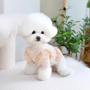 [yGET BACKzGet heat crop T-shirtiCream Beigej ؍ pi hbOObY TVc X[uX hbOEFA  ̕ ^ ^