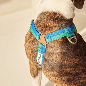 [yiCANDORzNo-Pull HarnessiFORESTj pi hbOObY n[lX hbOn[lX n[lX pn[lX Upi UObY ؍ y v