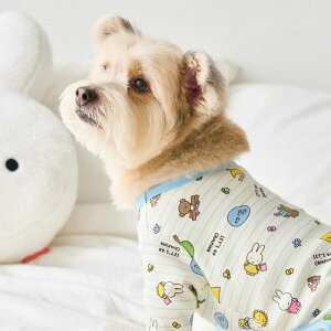 ���[�ynoutti�zCamping Miffy All in one�iSky Blue�j ���� �h�b�O�E�F�A ���̕� �~�b�t�B�[ �p�W���} ������ �����낢 �t �� �H �~