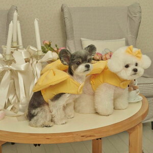[ymeaninglesszHeart Ribbon HarnessiYellowj pi hbOObY hbOEFA  ̕ ^ ^ n[lX [h ؍