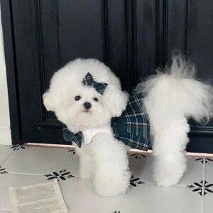 \̔yHi YeboozPreppy HarnessiGreenj ؍ uh 킢  v[g ^ n[lX UObY NEW t  H