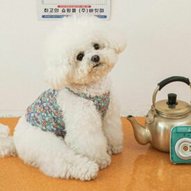 ※予約販売【BITE ME】Refrigerator Grandmother Tee（Blue） 韓国 ブランド かわいい おしゃれ プレゼント 小型犬 NEW 春 夏 秋 ペット用品
