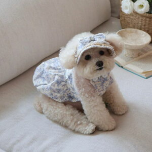 \̔ymeaninglesszUnicorn Pumpkin Pants  hbOEFA ̕ ^ ^ t  H t ĕ