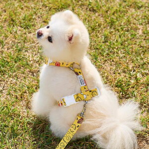[ynouttizColorful Miffy Harness n[lX ~btB[ miffy ؍ pi hbOObY hbOEFA  ̕ ^