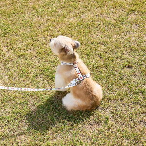 [ynouttizColorful Miffy Harness n[lX ~btB[ miffy ؍ pi hbOObY hbOEFA  ̕ ^