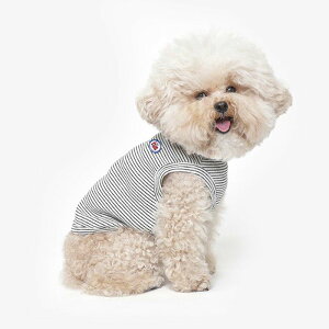 [yTUSTUSzBasic Stripe SleeveiWhitej  hbOEFA ̕ X[uX pi hbOObY ؍ ^ ^ t