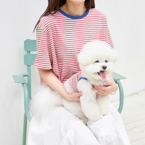 [ynouttizVintage Stripe T-ShirtiBluej ؍ pi hbOObY TVc X[uX hbOEFA  ̕ ^ ^