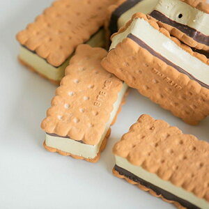 [yBITE MEzButtter Cookie Latex Toy /  ybg ebNX NbL[ o^[NbL[S o[ p hbOgC ߋ 킢 ^ ^ p ̂  ނ