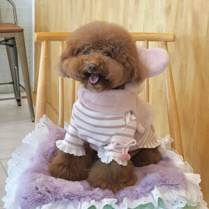 [yBeBe Breathzpuppy bear harnessiPinkj ؍ uh 킢  v[g ^ obO UobO n[lX [h l[^O UObY NEW t H ~