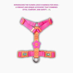 [yTOOFzFlower Logo H HarnessiORANGE/PINKj pi hbOObY n[lX hbOn[lX n[lX pn[lX [h ̃[h p[h U[h ؍