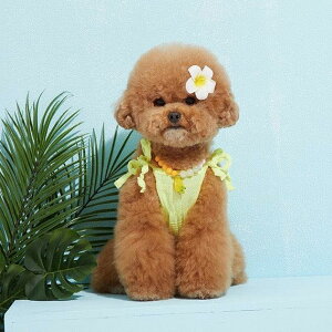 ���[�yDDOANG�zHAND MADE BANANA NECKLACE URBAN DOG TOKYO / �A�[�o���h�b�O�g�[�L���[ �y�b�g�p �A�N�Z�T���[ �l�b�N���X �`���[�J�[ ���^�� �����^�� �� �L �y�b�g�p�i �y�b�g�O�b�Y �t���[�c ����� �o