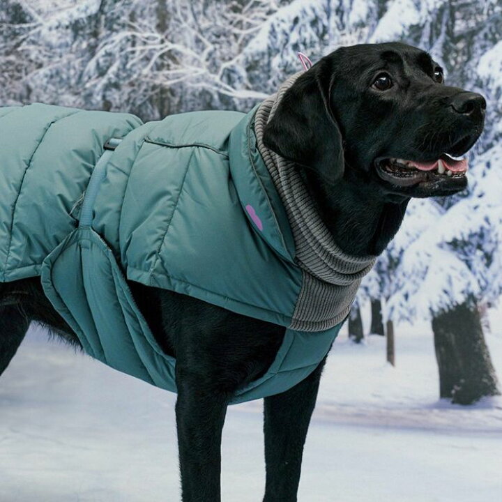楽天市場】※予約販売【munikund】Thermal Up Padding Air - Khaki 犬服 