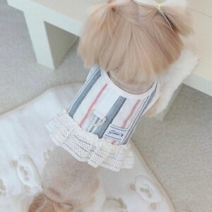 [yGET BACKzCool Harnessipokari bluej  hbOEFA n[lX ؍ pi hbOObY  ĕ ʋC y