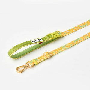 [yiCANDORzGentle Leash Bolt LongiBIG FISH YELLOWj pi hbOObY ̃[h p[h j [ [h U[h ^ ^