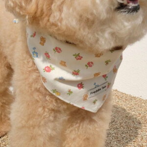 \̔yFREDDIE TALEzBear in bloom bandana ؍ pi hbOObY hbOEFA  ̕ ^ ^ t t